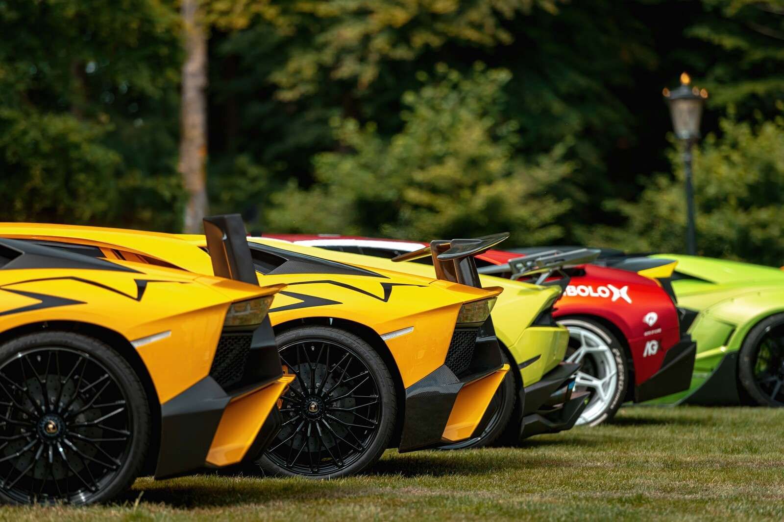 Collezione di supercar in natura