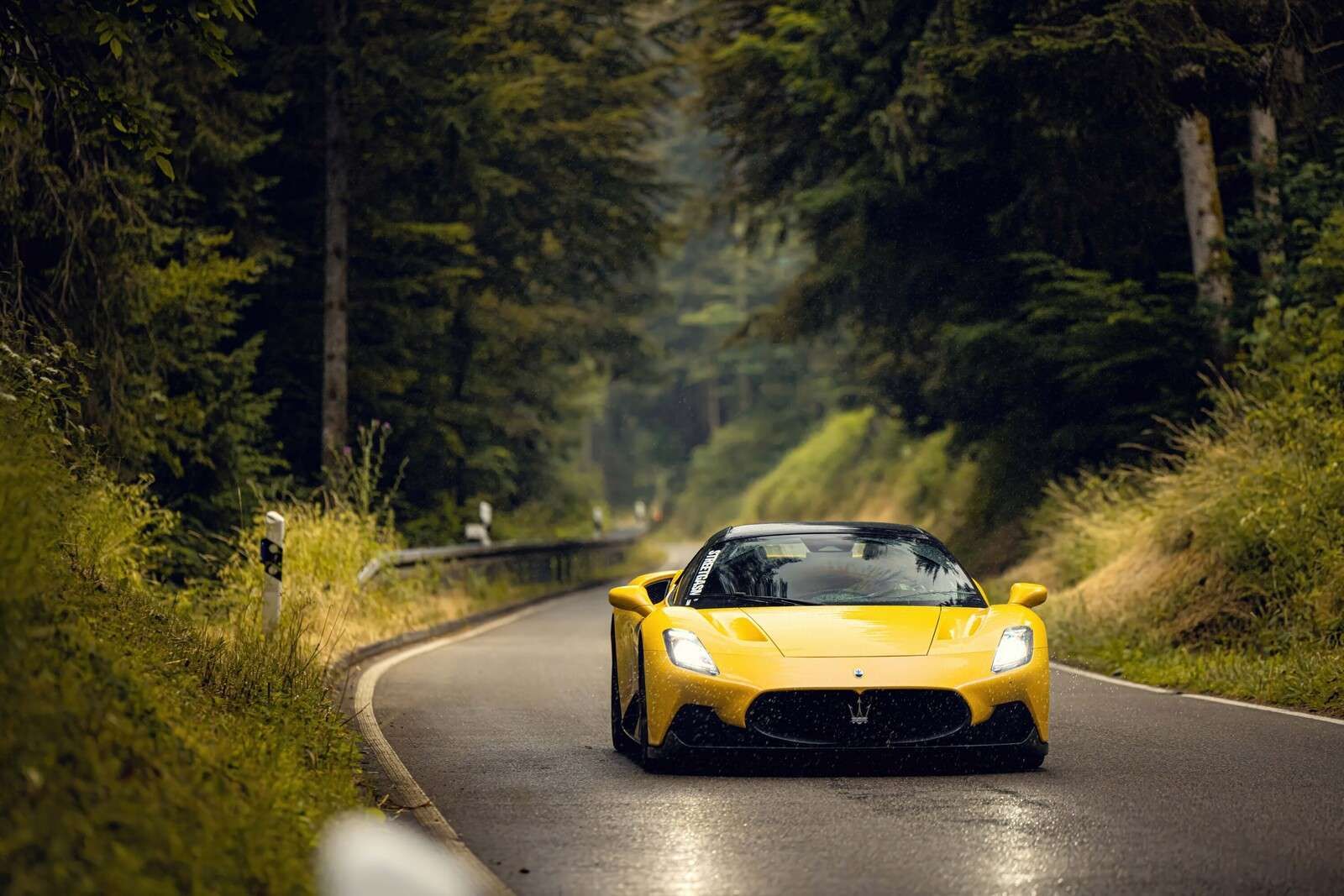 Maserati nel bosco verde