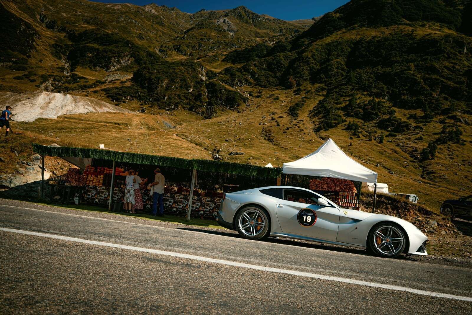 Forza italiana nella natura