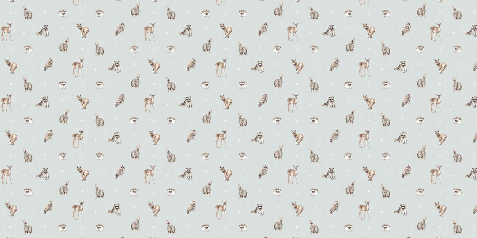 Amici della Foresta Passo 01C