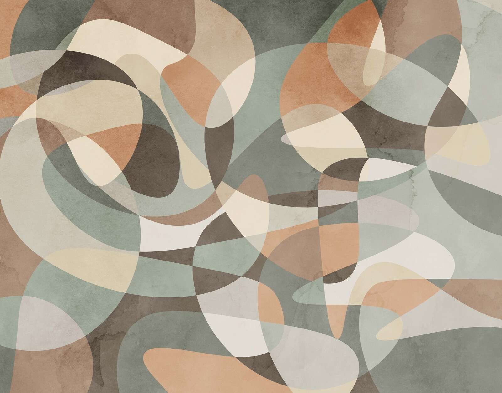 Forme fluide in terra e nebbia