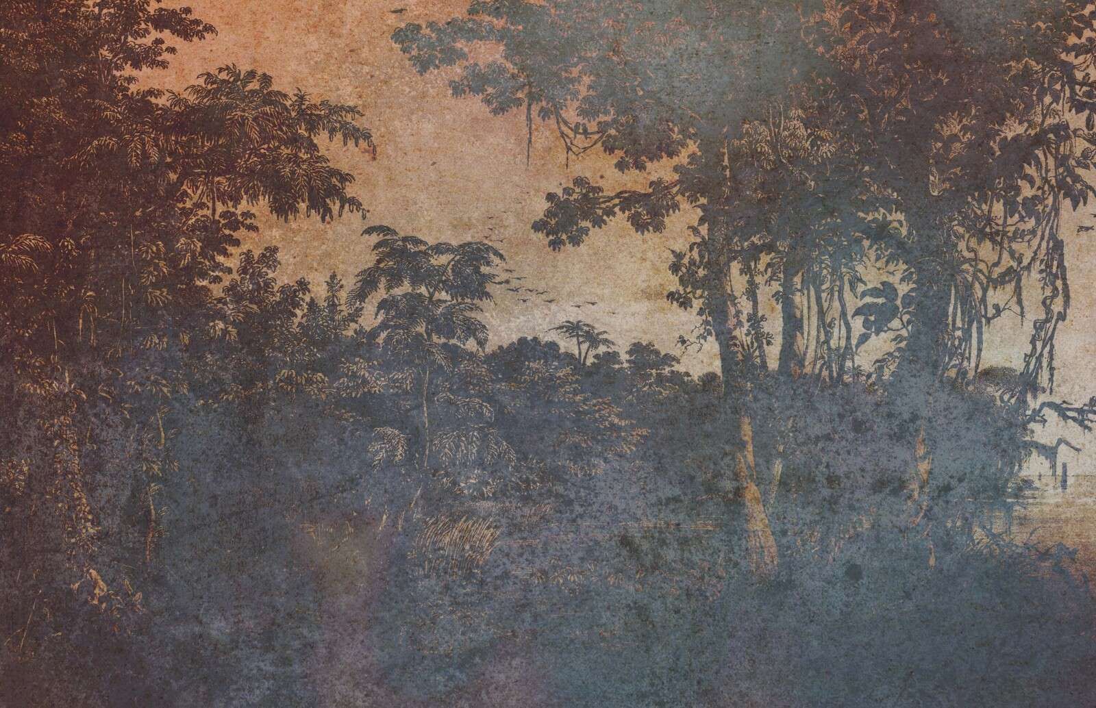 Giungla invecchiata nella luce crepuscolare