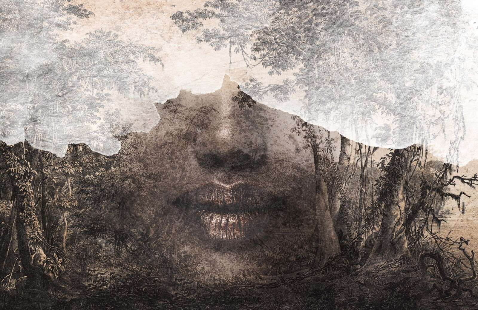 L'anima della foresta