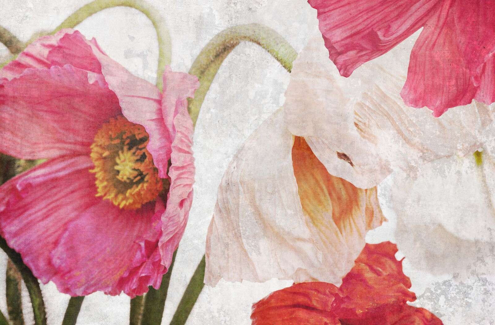 Papaveri danzanti nel cielo estivo