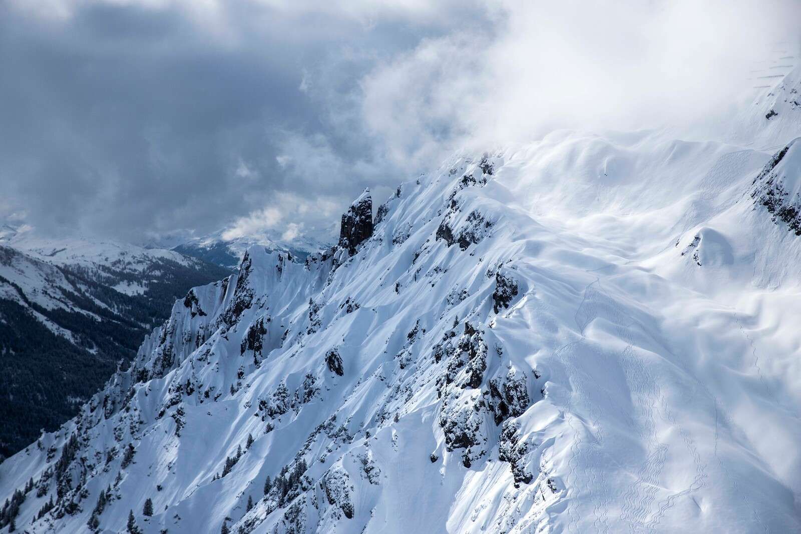 Tracce nella silenziosa pendenza della neve