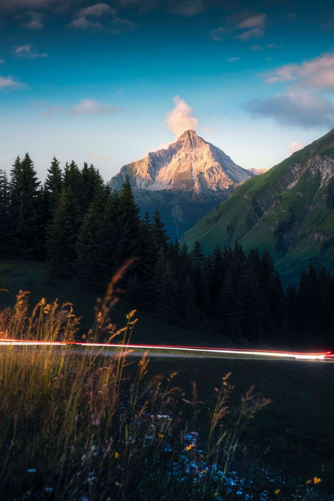 Luce del tramonto su cima alpina con campo di fiori