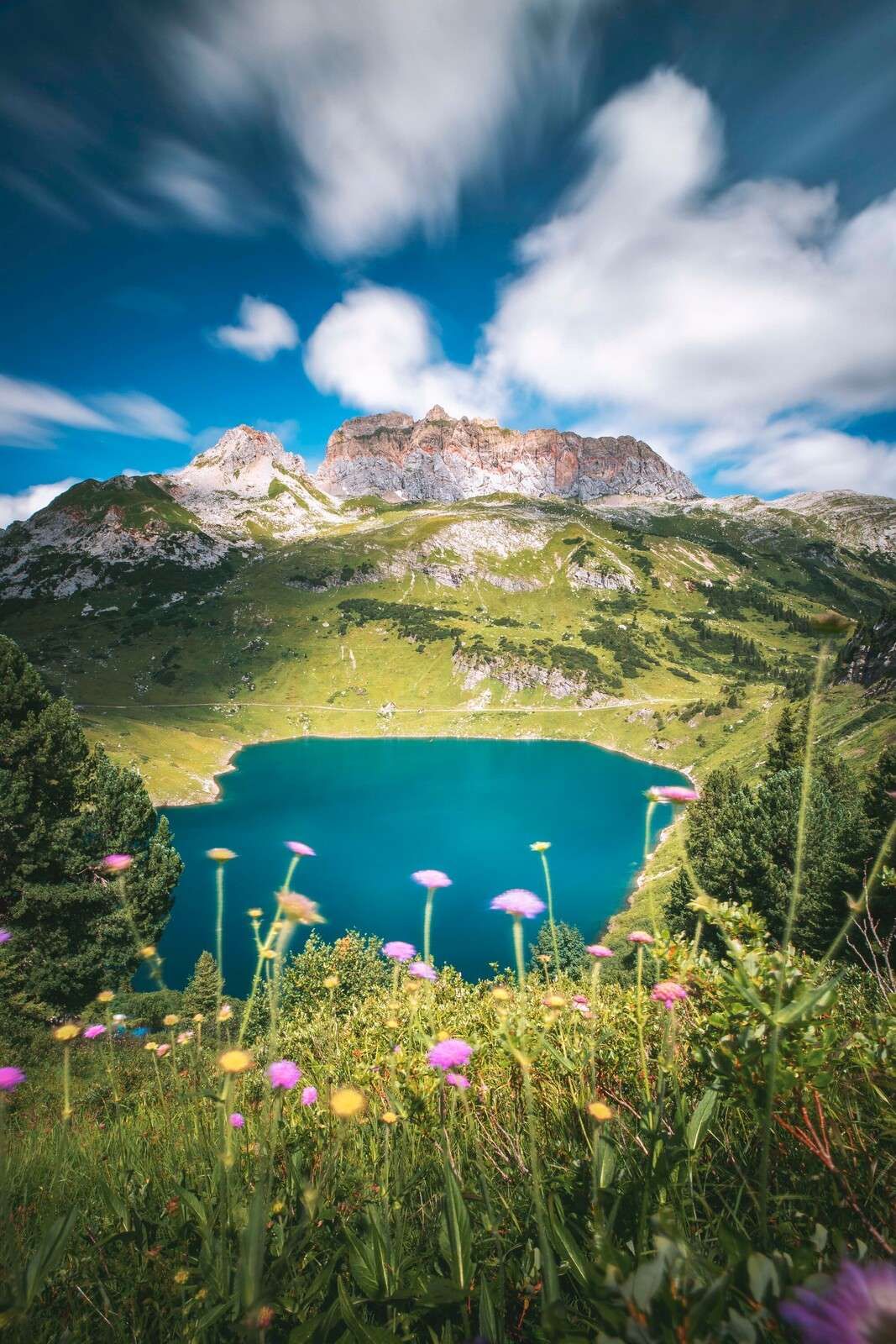 Prato di fiori vicino a un lago di montagna limpido