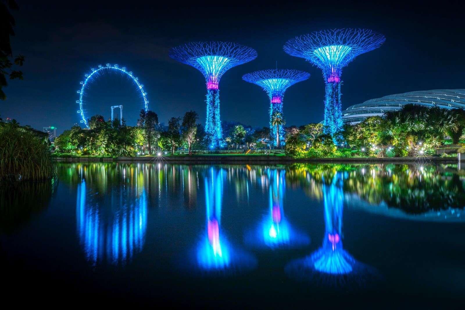 Alberi luminosi futuristici sull'acqua