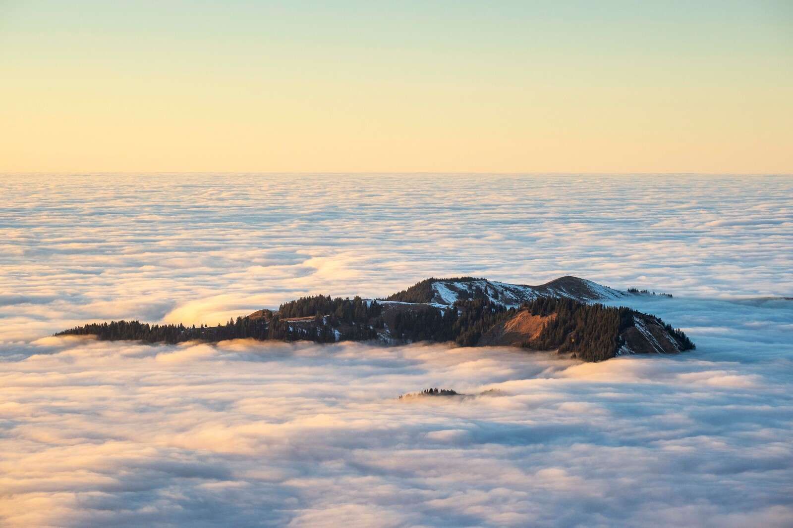 Bergkam galleggiante in un mare di nuvole