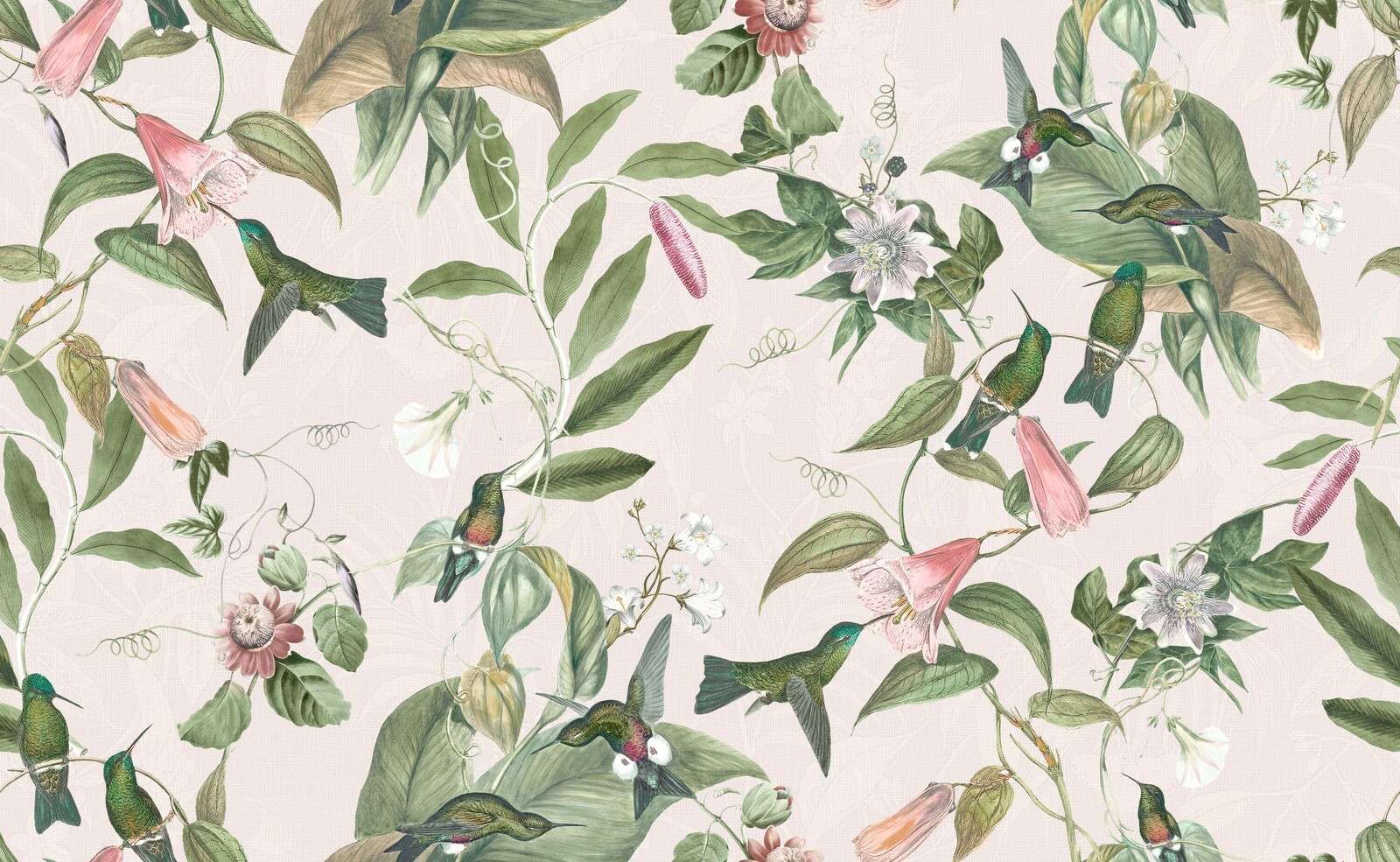 Colibrì tra fiori rosa