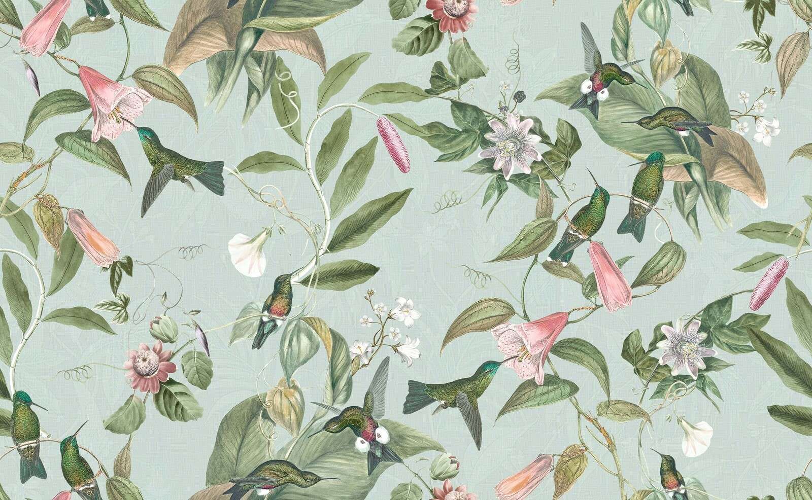 Colibrì tra morbidi rami fioriti