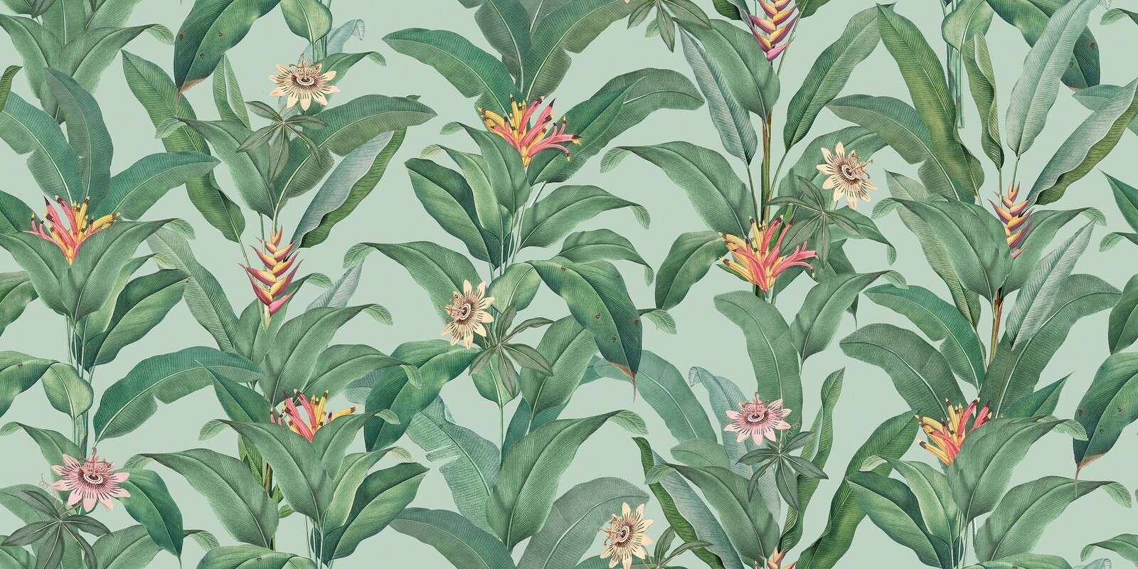Foglie tropicali con heliconia
