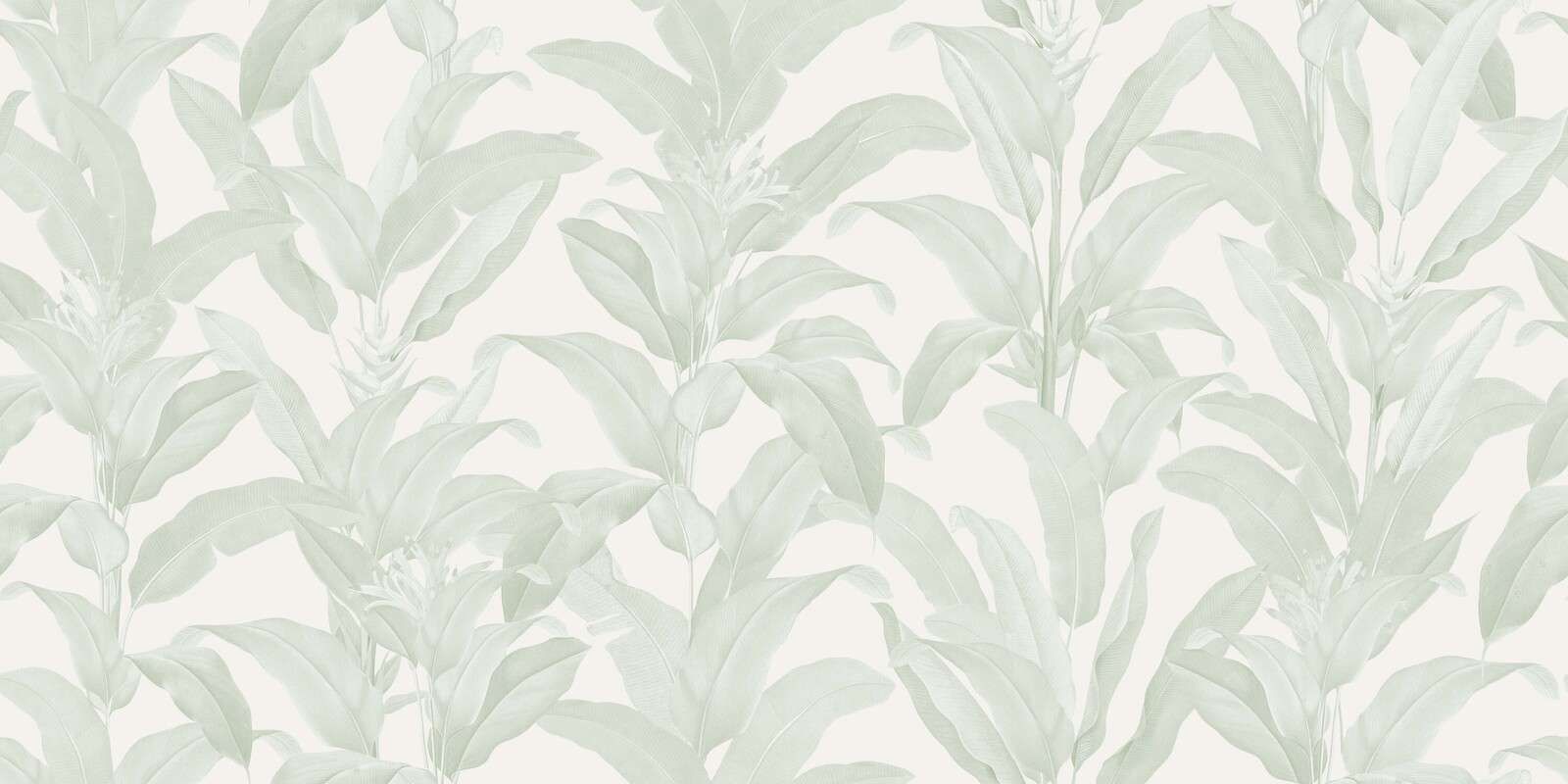 Delicate foglie tropicali in verde salvia