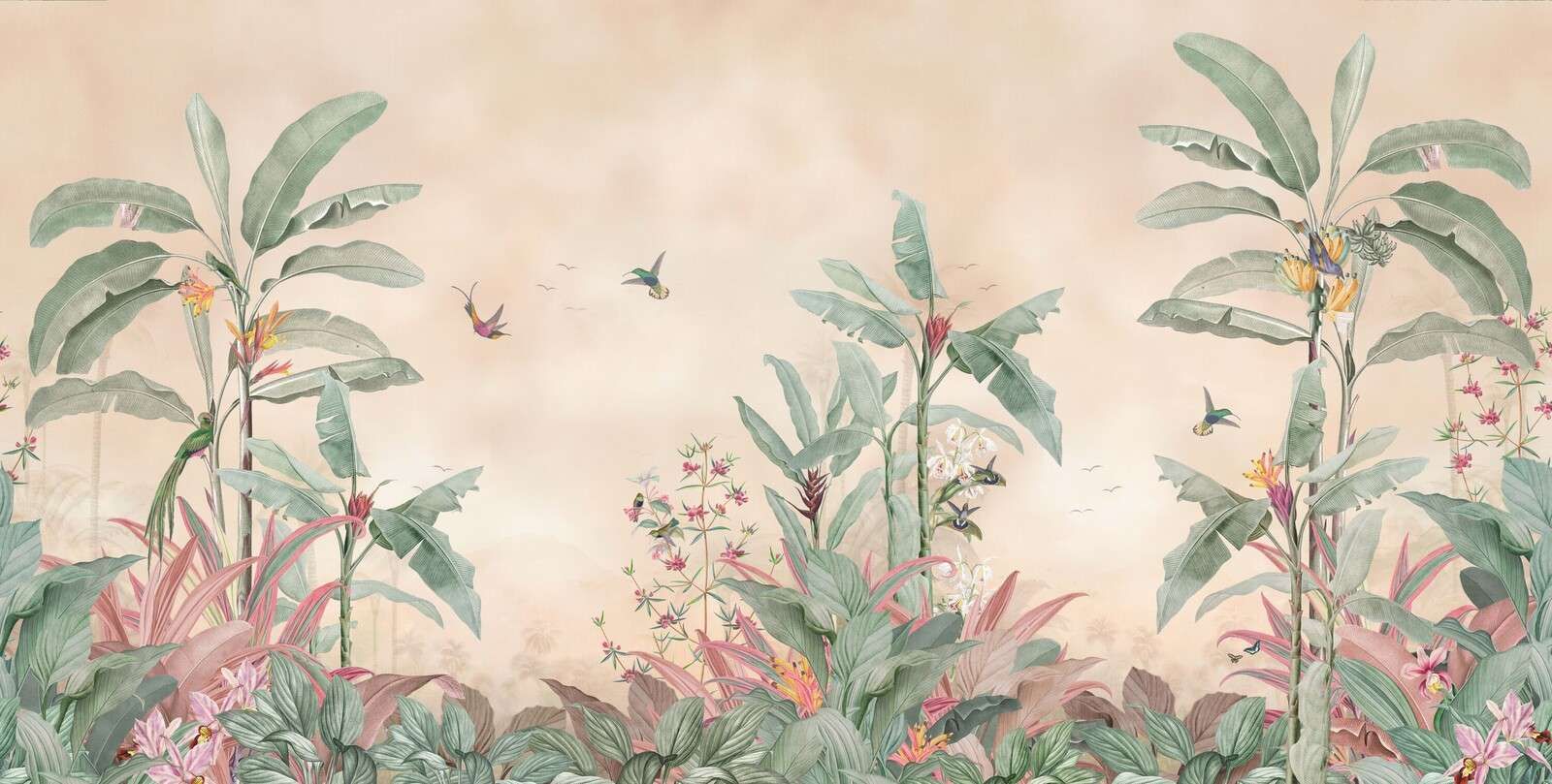 Colibrì tropicali nella foresta di banane