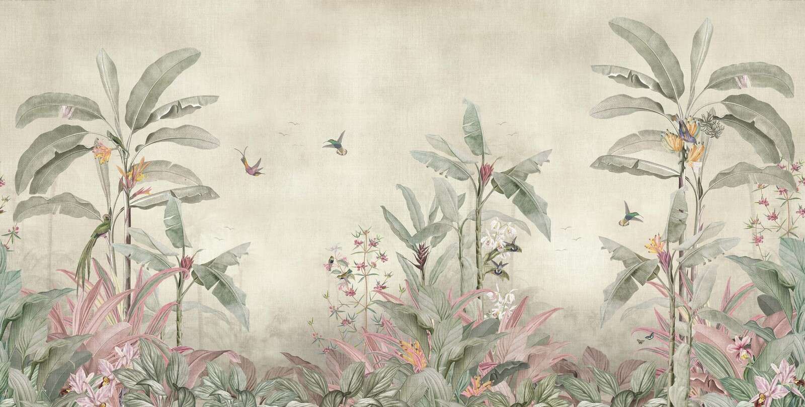 Colibrì tra foglie di banano morbide