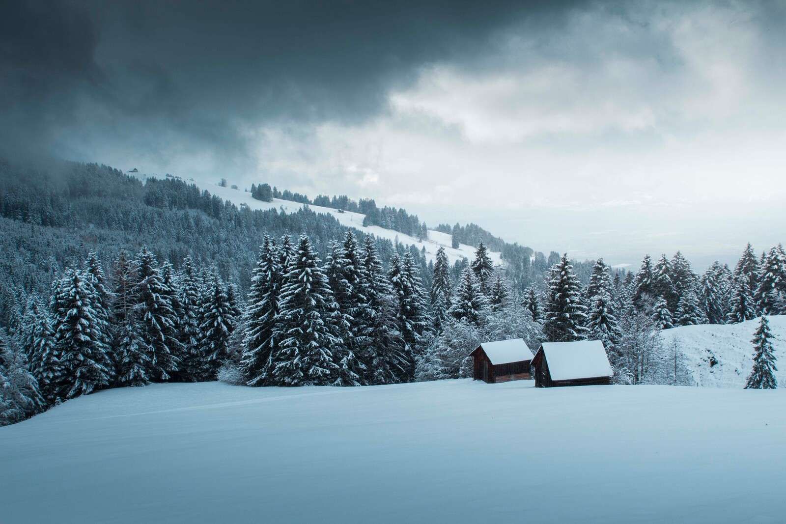Bosco di pini innevato con capanne di legno