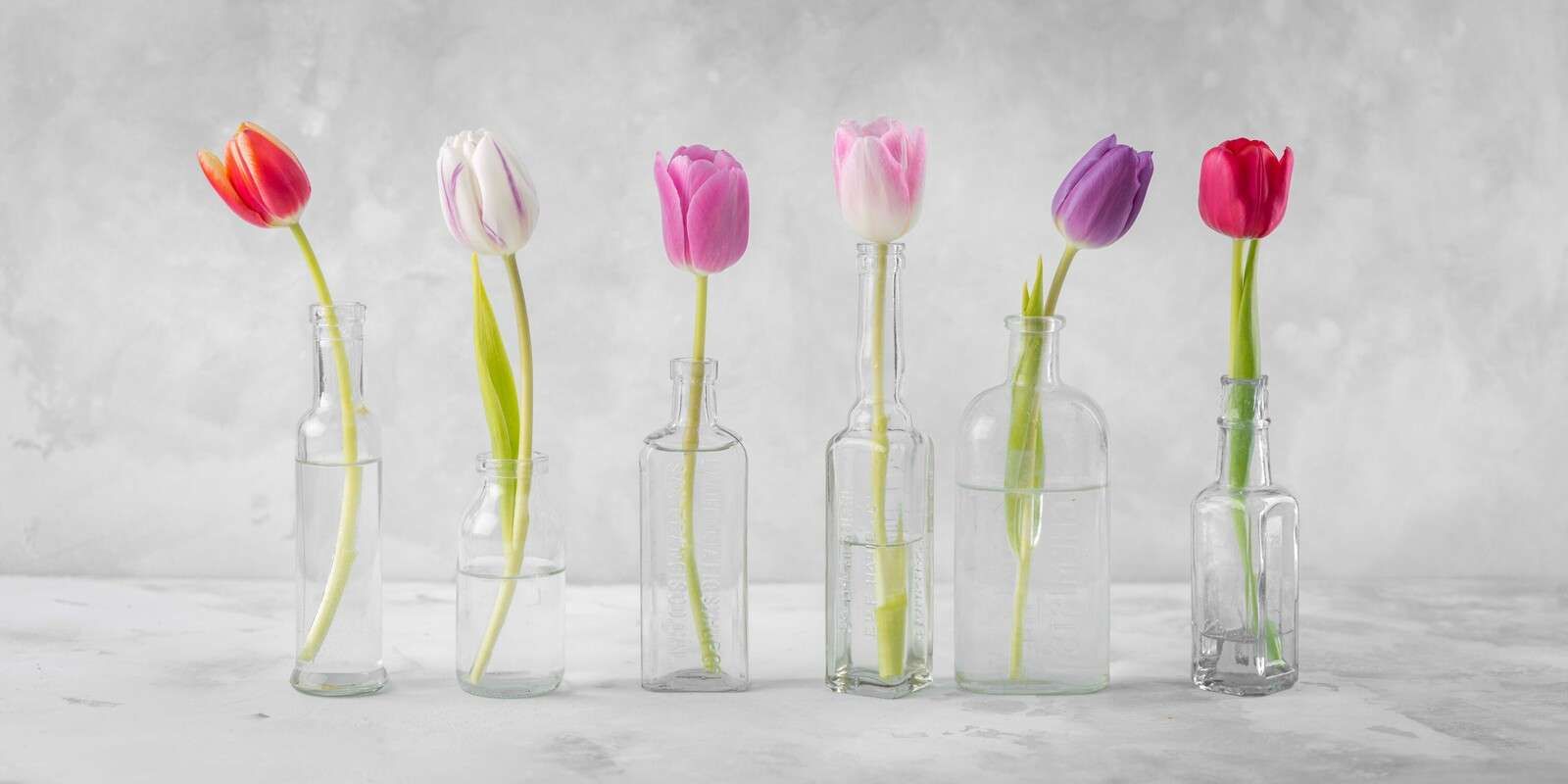 Tulipani in bottiglie di vetro