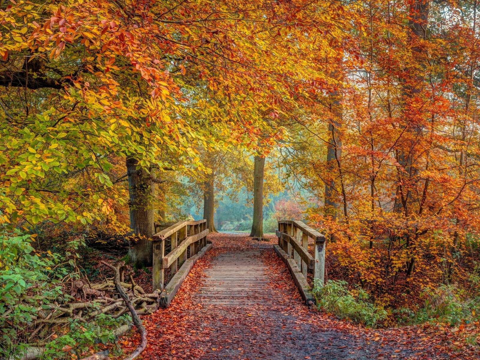 Ponte di legno in una foresta autunnale