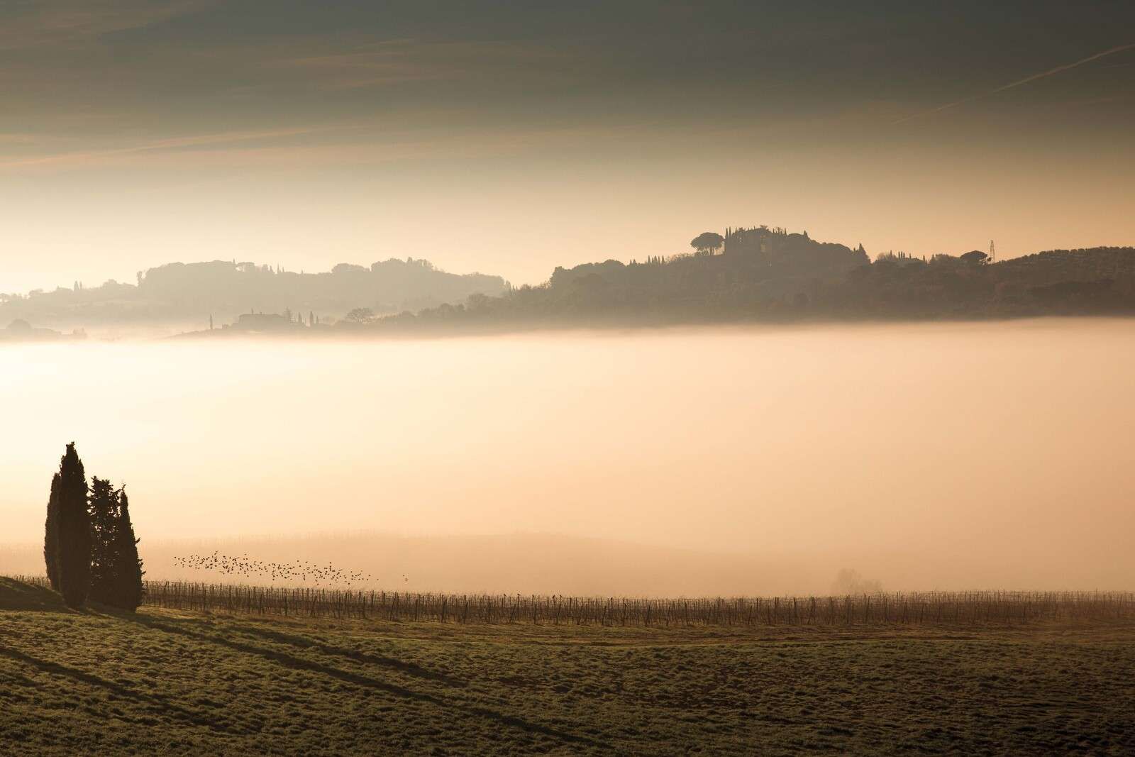 Colline nella nebbia mattutina toscana