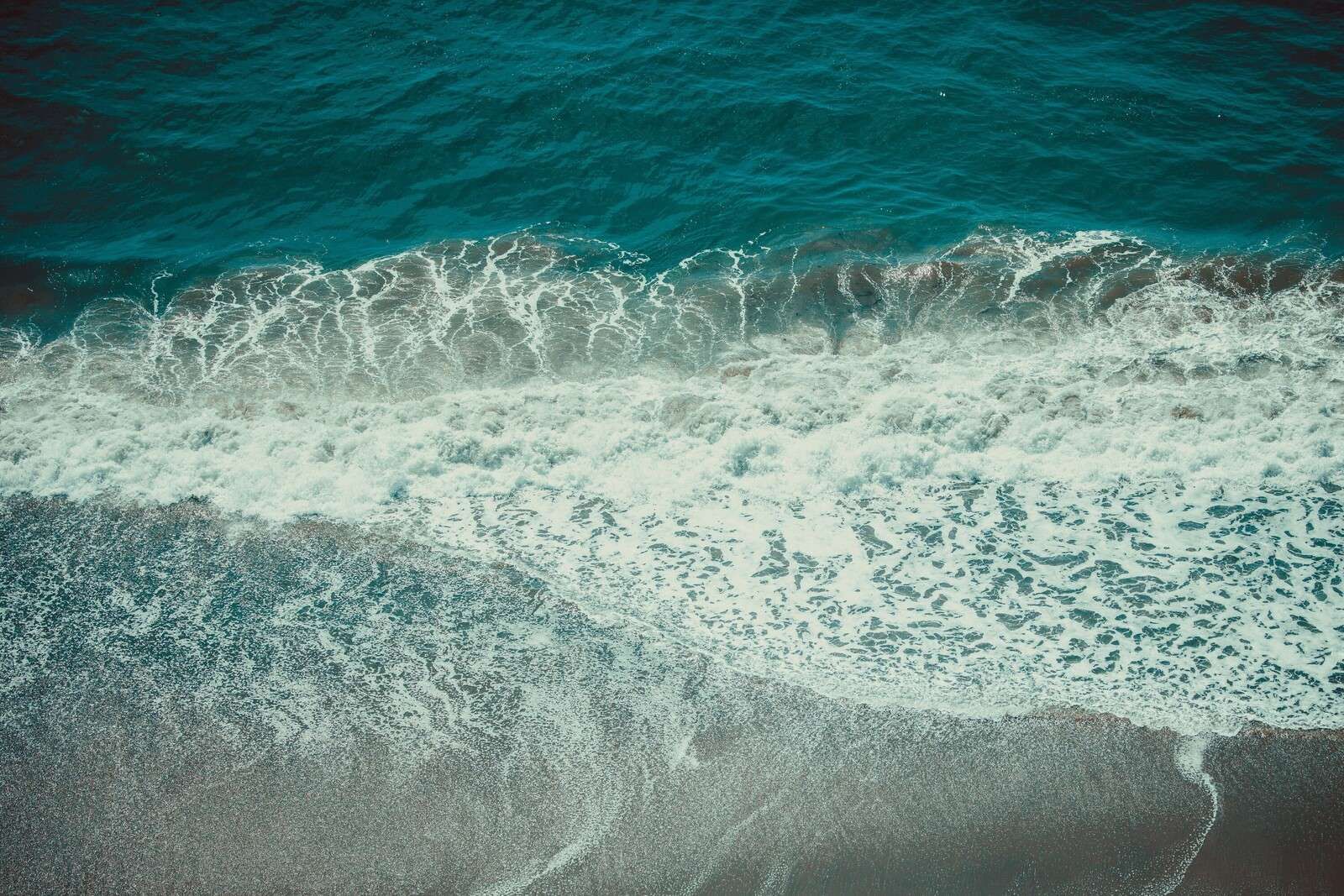 Onde spumose su sabbia bagnata