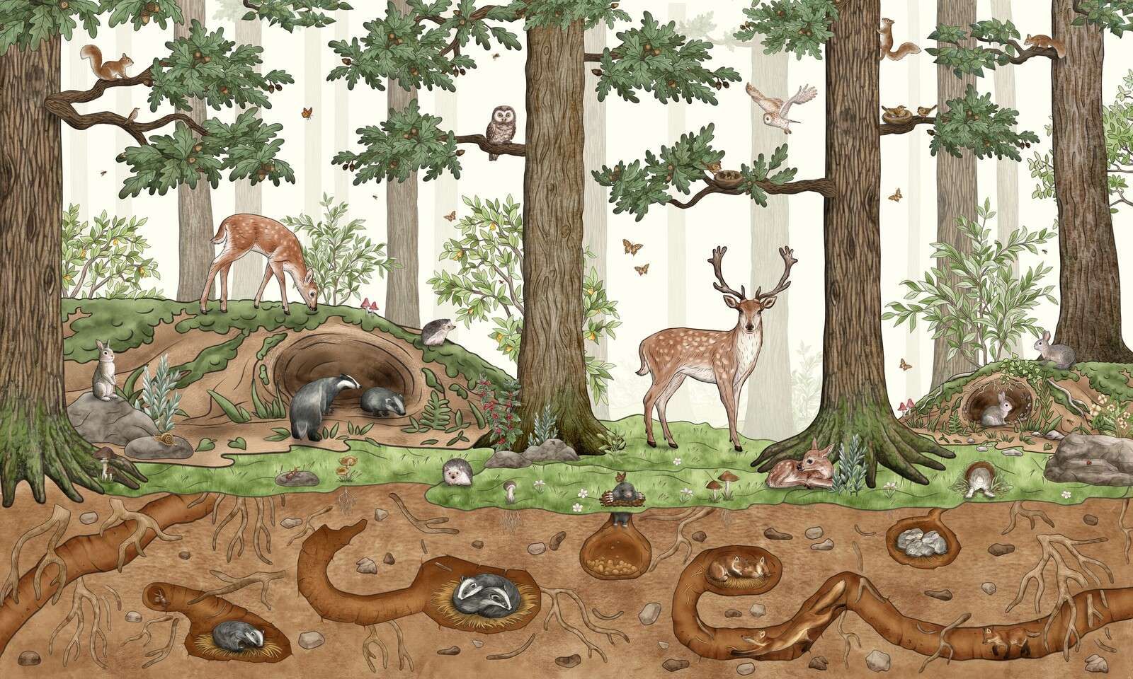 Animals in the Forest
