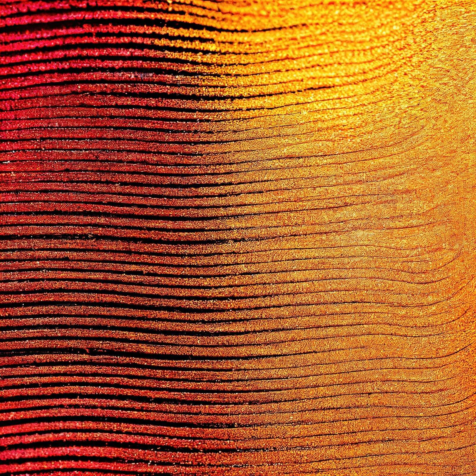 Macro Cobra fiore di zafferano