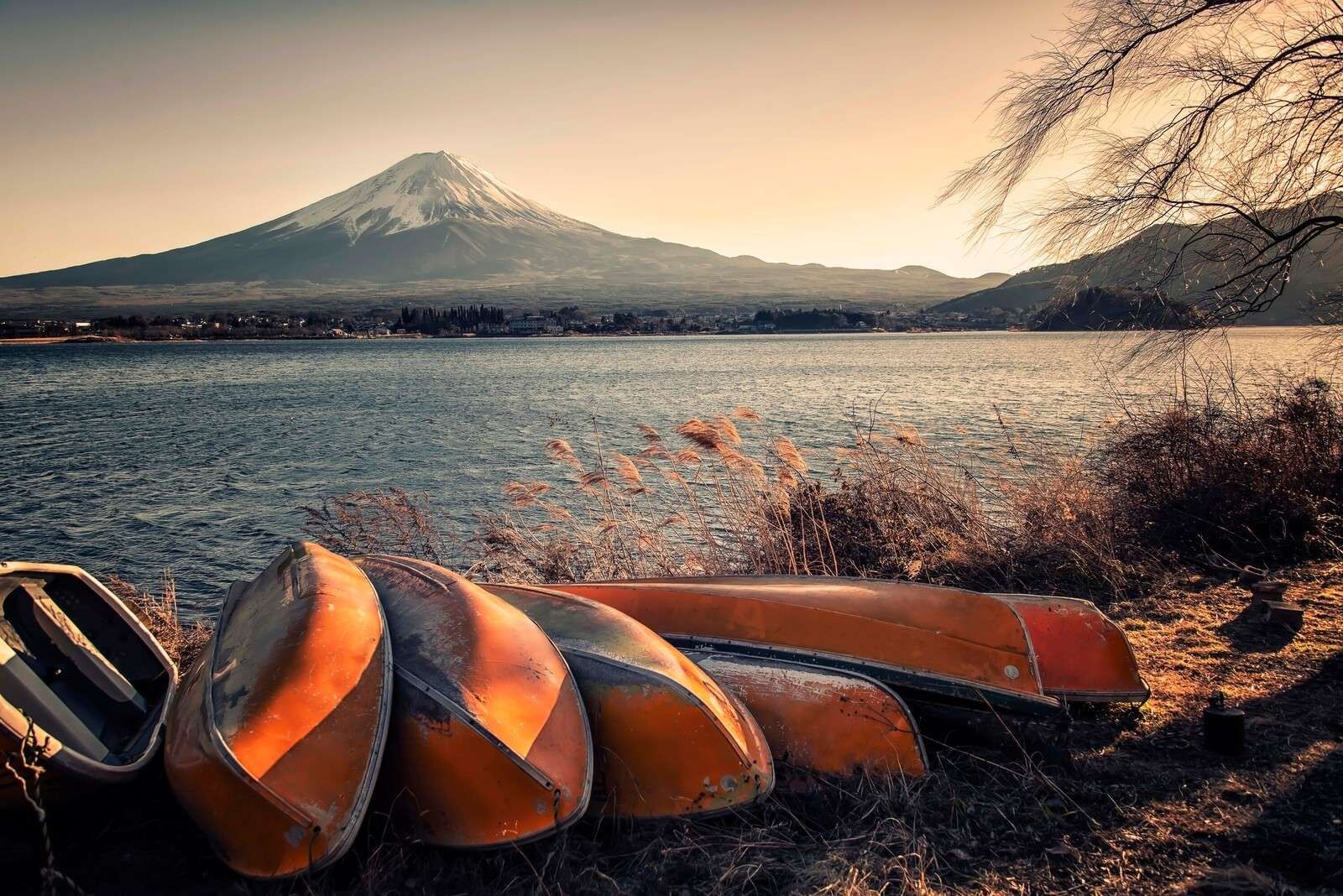 La riva tranquilla del lago Fuji.