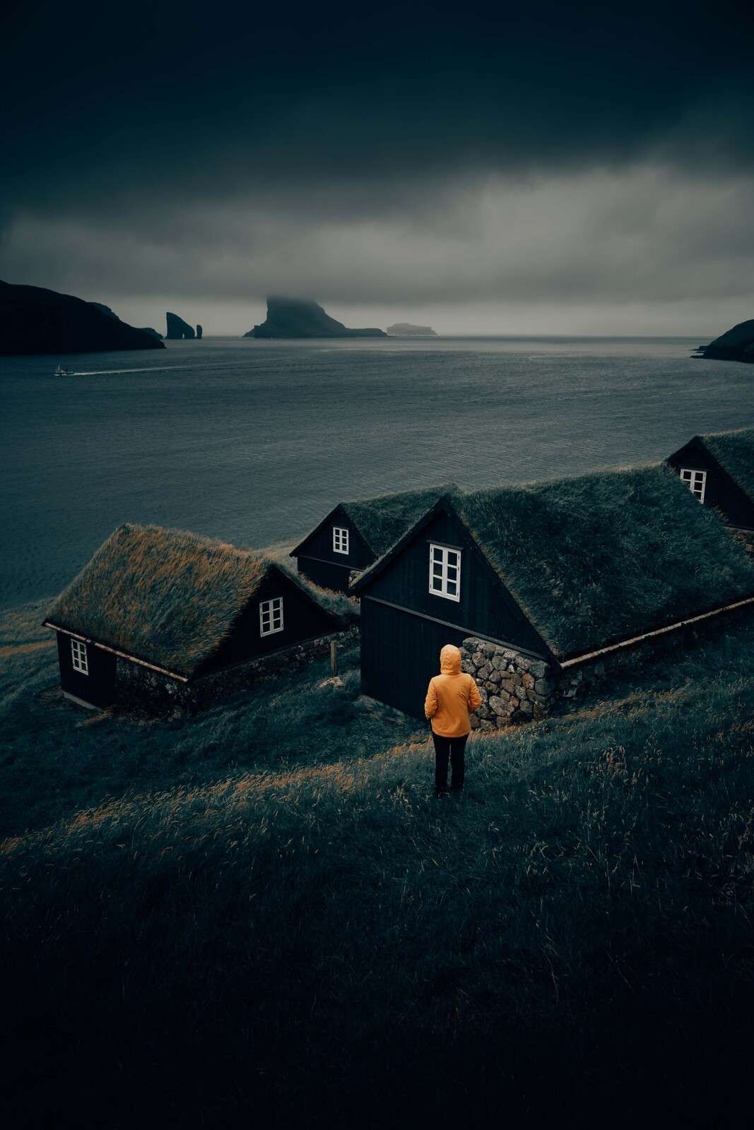 Tetti in erba lungo un fiordo del nord