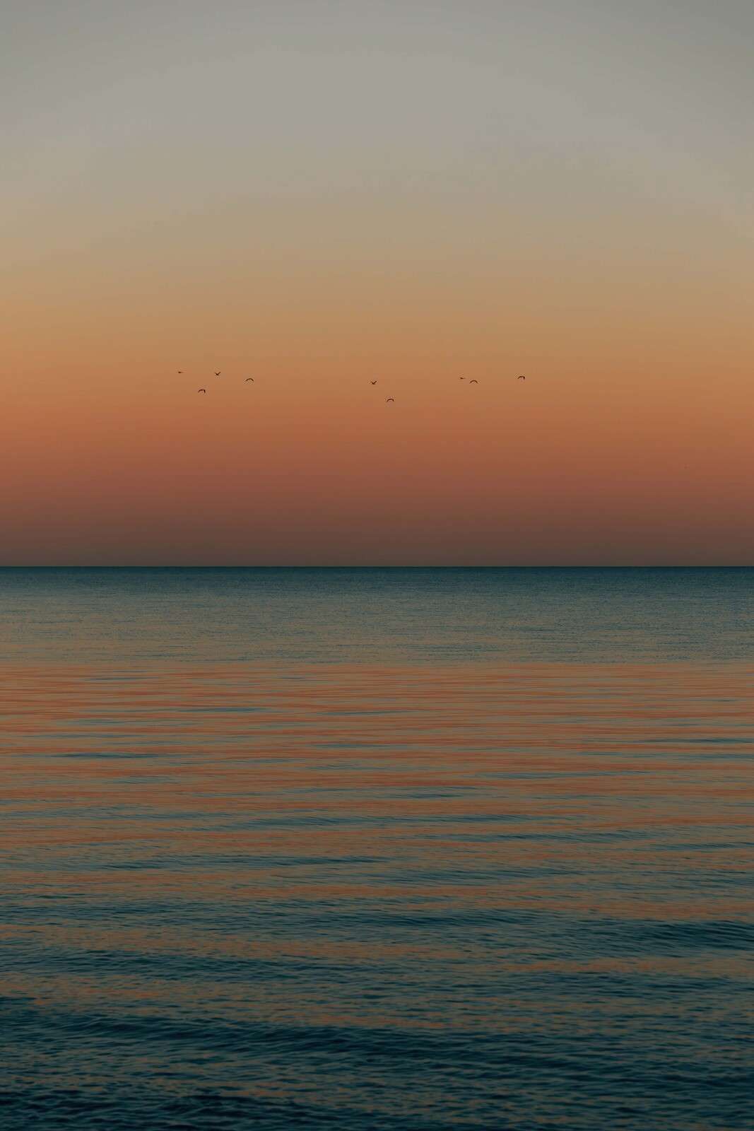 Mare calmo al tramonto