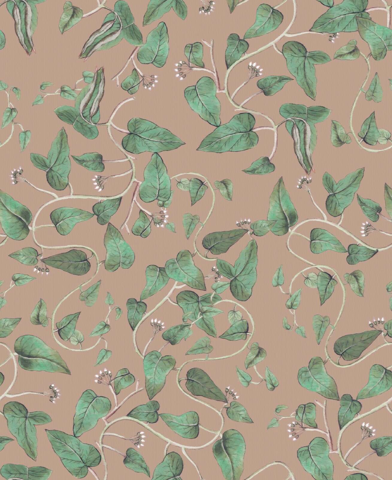 Rampicanti di fagioli su sabbia marrone