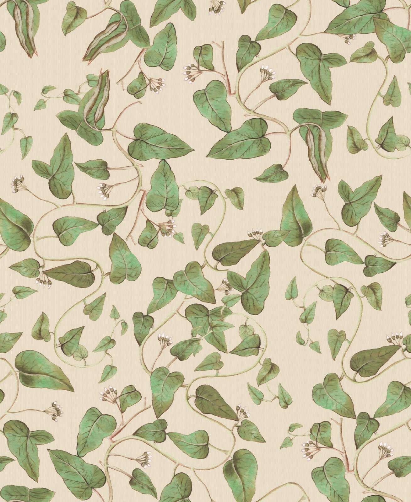 Fagioli rampicanti su crema