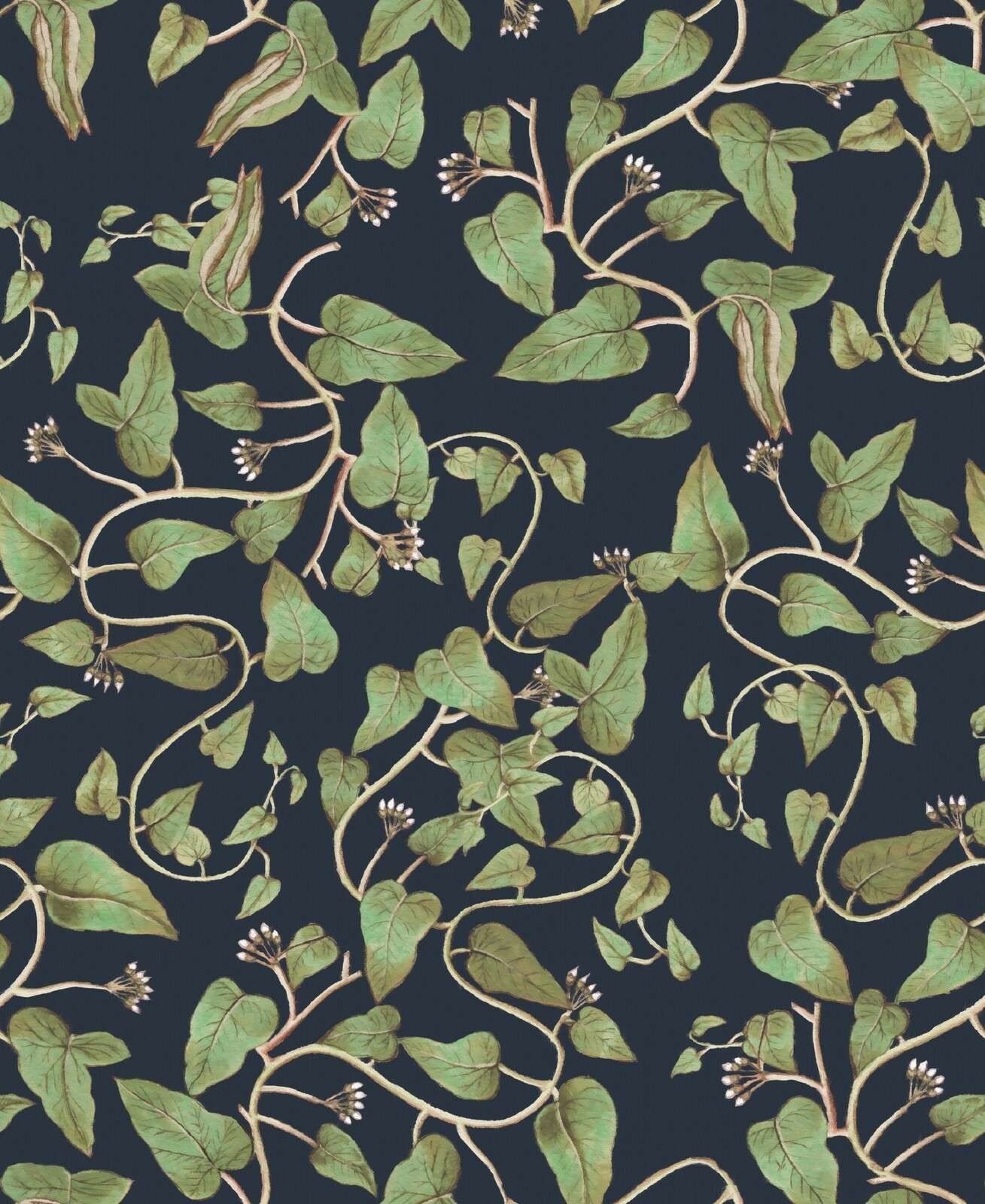 Rampicanti di fagiolo su blu notte