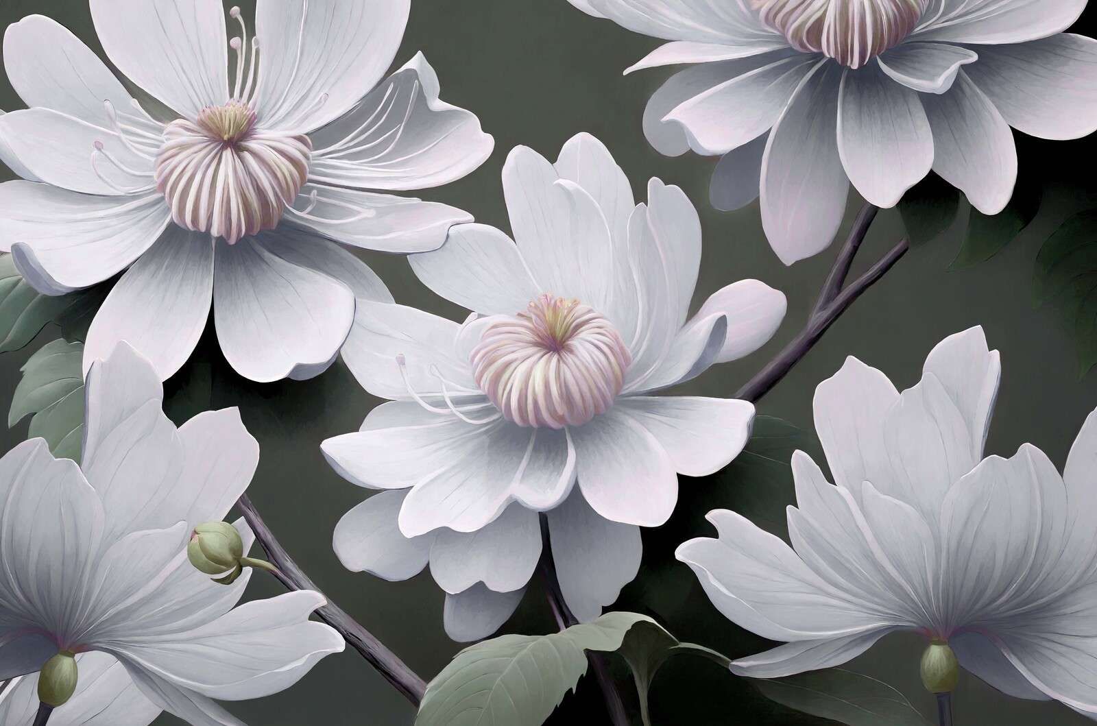 Fiori di clematide leggeri in bianco