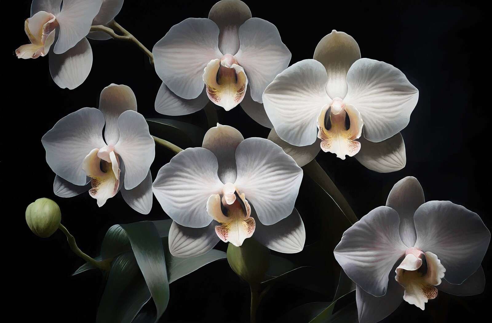 Orchidee bianche con cuore caldo