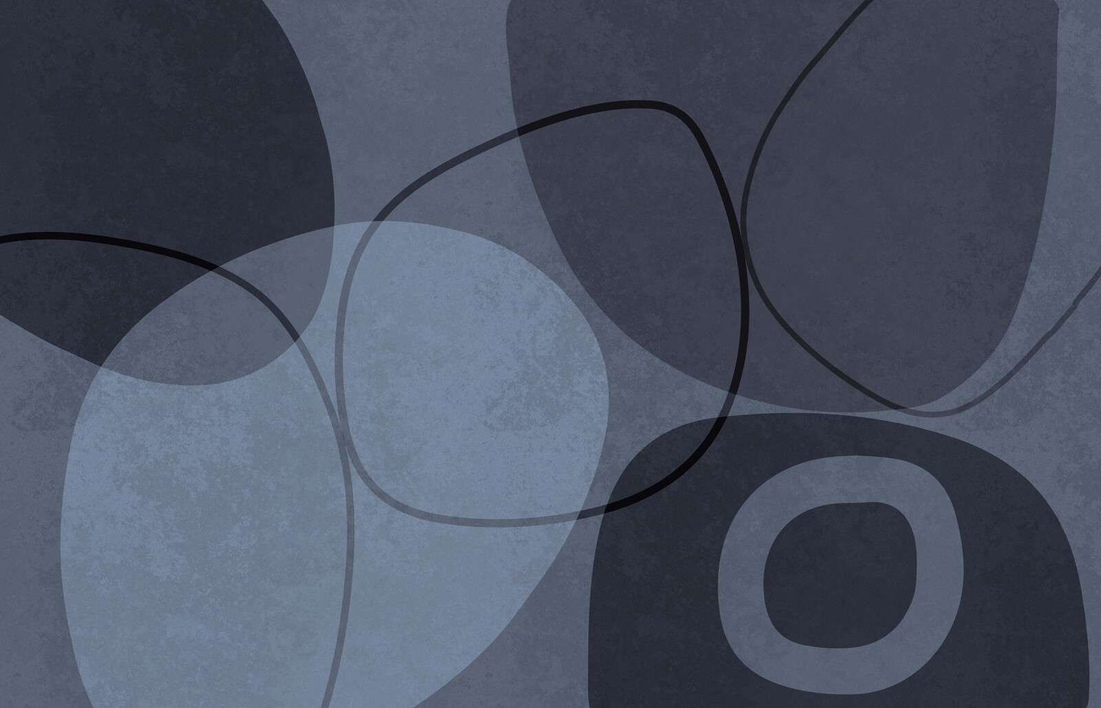 Forma Mid Century N contorno grigio-bluastro