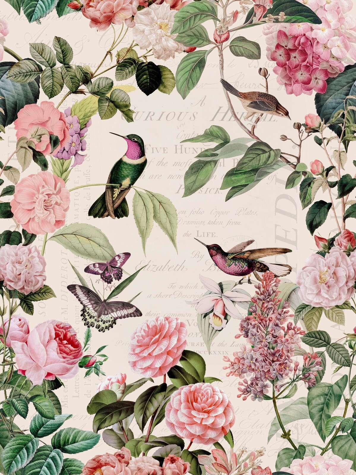 Colibrì e rose