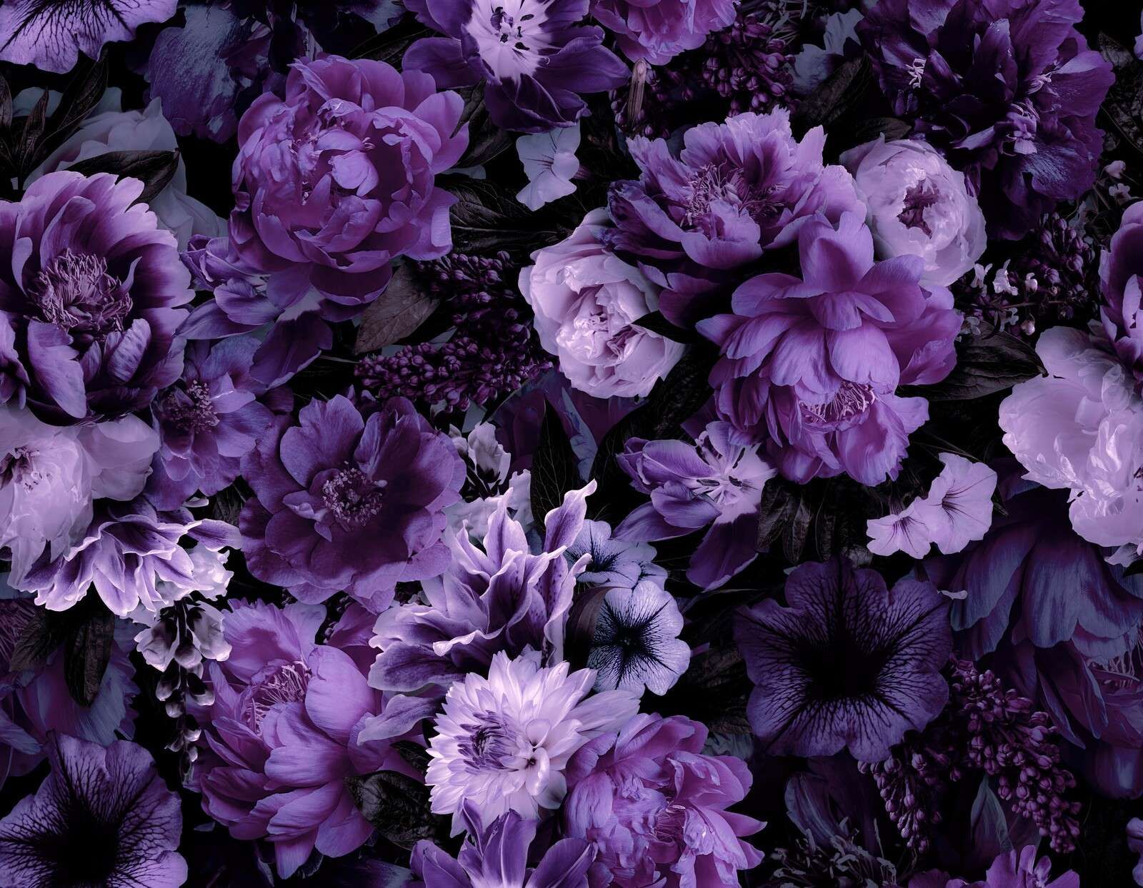 Opulenza barocca floreale viola intenso