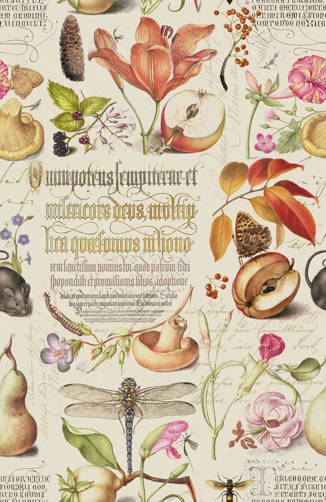 Botanical treasures by joris hoefnagel with plants fruits and calligraphy iii
