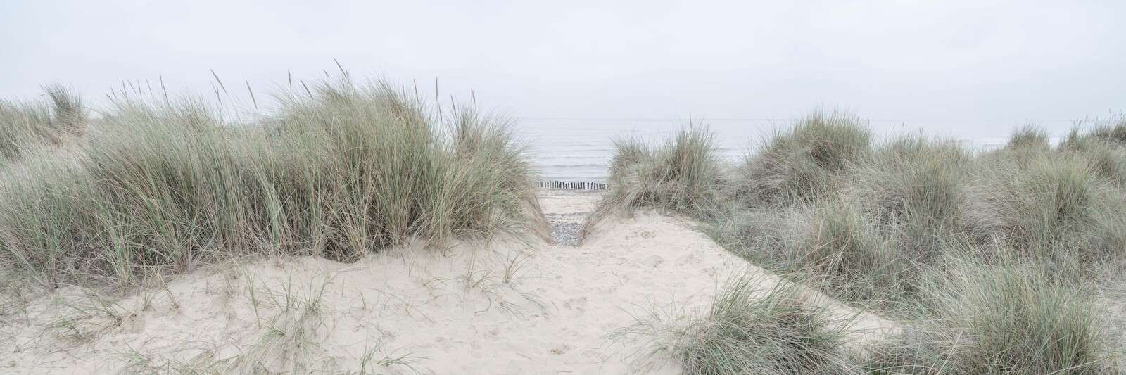 Dune nebbiose su una costa silenziosa