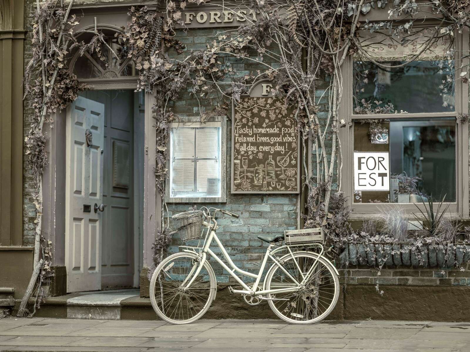 Bicicletta da città vintage davanti alla vetrina di un negozio