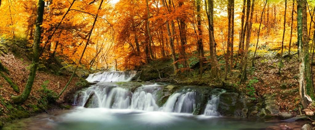 Cascata in autunno