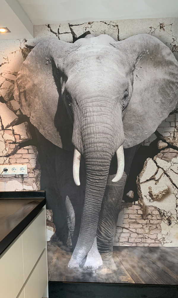 Wallpaper elephant